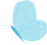 Papillon Papillon